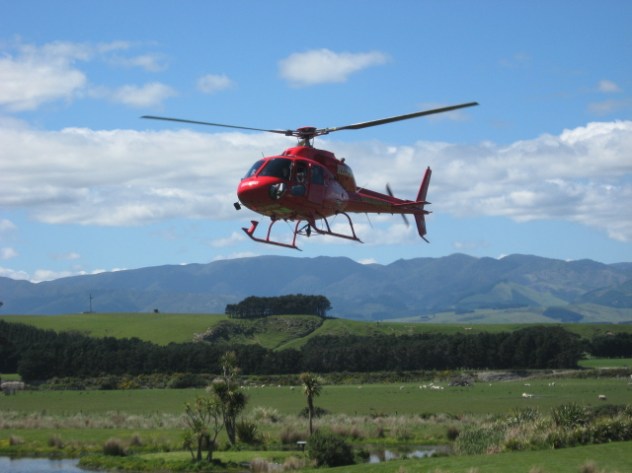 f9f0d81a-e429-445c-bdca-b0c58a21756a